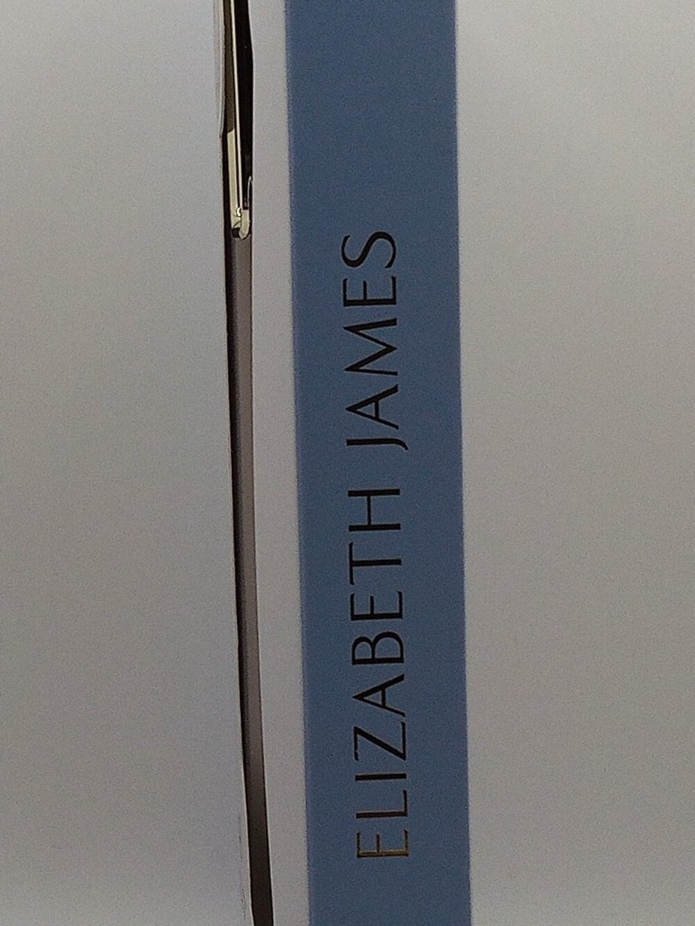 Elizabeth James Silicone MagSafe Case — iPhone 15/14/13 — Taupe — NEW - Picture 5 of 13